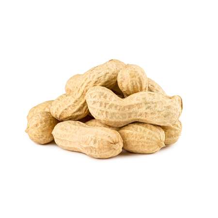 COMMODITY NUTMEATS Commodity Roasted Unsalted In Shell Peanut 25lbs 202700